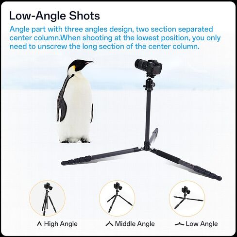Fotopro 96" Camera Tripod for Travel, Carbon Fiber Stand with Detachable Monopod, Lightweight Portable Mount with 360 Ball Head, QR Plate for Camera DSLR, Macro Photography, 26.5 lbs Load, X-75C in Kuwait