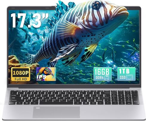 كمبيوتر محمول للأعمال مقاس 17.3 بوصة FHD (1920 × 1080) IPS، وذاكرة الوصول العشوائي DDR4 بسعة 16 جيجابايت ومحرك أقراص SSD بسعة 512 جيجابايت، ومعالج Celeron N5095 رباعي النواة، وWin 11 Pro PC، وHDMI، وقارئ بصمات الأصابع، وKB بإضاءة خلفية، وBT 5.0/WiFi، فضي in Kuwait