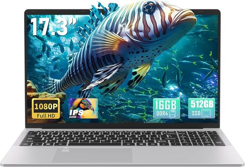 17.3" FHD(1920 x 1080) IPS Business Laptop Computer, 16GB DDR4 RAM 512GB SSD, Celeron N5095 Quad-Core Processor,Win 11 Pro PC, HDMI, Fingerprint Reader, Backlit KB,BT 5.0/WiFi,Silver in Saudi Arabia