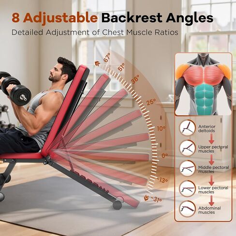 Weight Bench in Saudi Arabia