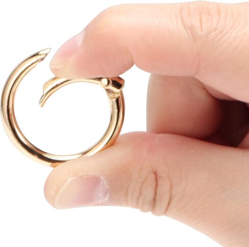 10Pcs Spring O Rings Clip Keychain,1 Inch Round Snap Clip Gold Key Rings for Keychain Alloy Round Buckle Key Hook Purse Strap Extender Clip for Keys,Bag, Handbag, DIY Crafts in Saudi Arabia