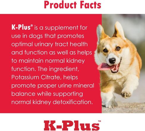 جل K-Plus البوتاسيوم غلوكونات الكلوي بالإضافة إلى التوت البري وEPA للكلاب والقطط - مكمل كلوي معتمد من قبل الطبيب البيطري - يدعم توازن البوتاسيوم - 3 عبوات من 5 أونصة، 15 أونصة in Kuwait