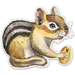ملصق Chipmunk - ملصق كمبيوتر محمول مقاس 5 بوصات - فينيل مقاوم للماء للسيارة والهاتف وزجاجة المياه - ملصق Chipmunk in Kuwait