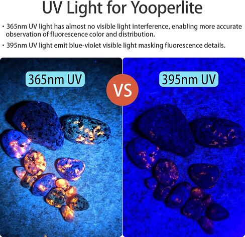 C10 365nm الأشعة فوق البنفسجية مصباح يدوي Blacklight مشاعل مع تصفية، Longwave 365 نانومتر ضوء الأشعة فوق البنفسجية ضوء أسود للكشف عن البول للحيوانات الأليفة، العقرب، الصخور in Kuwait