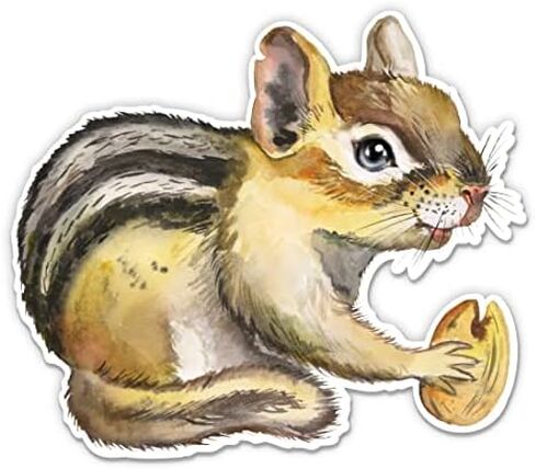 Chipmunk Sticker - 5" Laptop Sticker - Waterproof Vinyl for Car, Phone, Water Bottle - Chipmunk Decal in Kuwait