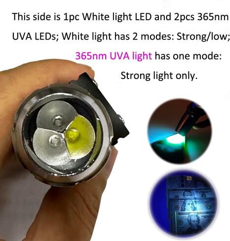 Longwave & Midwave & Shortwave UV Light Flashlight 254nm 310nm 365nm Minerals Phosphor Detector UVA UVB UVC Blacklight Jade Detection White LED Torch Lamp in Kuwait