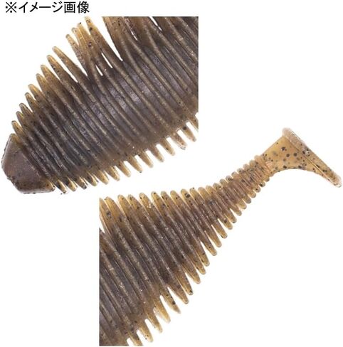 Geecrack Bellows Gill Swimmer in Kuwait