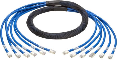 حزمة Tripp Lite المعززة Cat6/Cat6a النحاسية المُنهية مسبقًا، (6x) RJ45 (M/M)، 10 قدم (N261-010-6MM-BL) in Kuwait