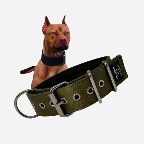 Working Dog Collar - 2" Wide Dog Collar, 4ply Polyester Seatbelt Webbing, Heavy Duty Stainless Steel Welded Hardware, Tactical Style, Pitbull, Dog Collar for Large Dogs (L, Orange) in Saudi Arabia