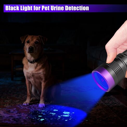 WINDFIRE 365nm UV Flashlight, Rechargeable Blacklight Flashlights Powerful, Adjustable Focus Black Light for Pet Urine Detection, Resin Curing, Rocks, Scorpions, Blood Tracking, Uranium Glass in Kuwait