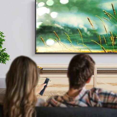 ERF3AD90H Replace Voice Remote Control fits for Hisense C1 4K UHD Portable Mini Projector in Kuwait