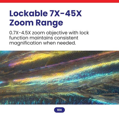 AmScope - SM-4NTP 7X-45X مجهر تكبير ستريو بؤري قابل للقفل على حامل مزدوج الذراع in Kuwait