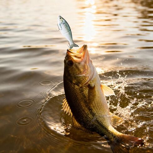 SwimShad Glide Baits Jointed Slow Sink Bass Lure, Swimbait Bass Pike Salmon Trout Muskie Fishing Lure in Saudi Arabia