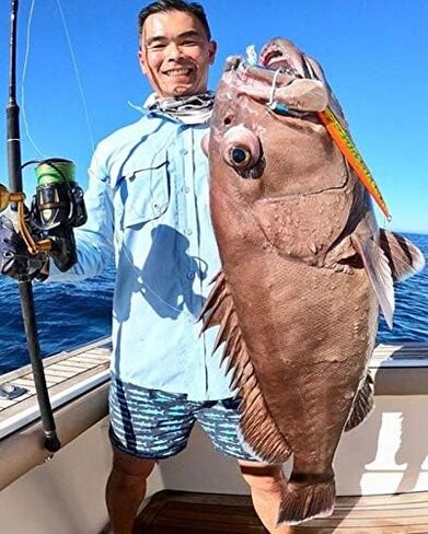 Nomad Design Deep Water Fishing - Erratic Action Trigger for Predators, Fast Sinking & BKK Jig Assist Hooks The Streaker 80G - 3 oz - Fusiller in Kuwait