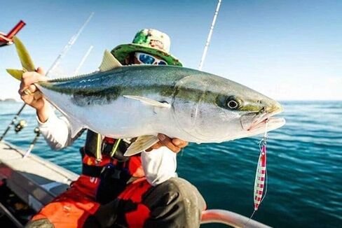 Nomad Design Deep Water Fishing - Erratic Action Trigger for Predators, Fast Sinking & BKK Jig Assist Hooks The Streaker 80G - 3 oz - Fusiller in Kuwait