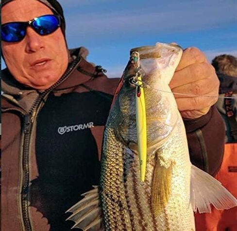 Nomad Design Deep Water Fishing - Erratic Action Trigger for Predators, Fast Sinking & BKK Jig Assist Hooks The Streaker 80G - 3 oz - Fusiller in Kuwait