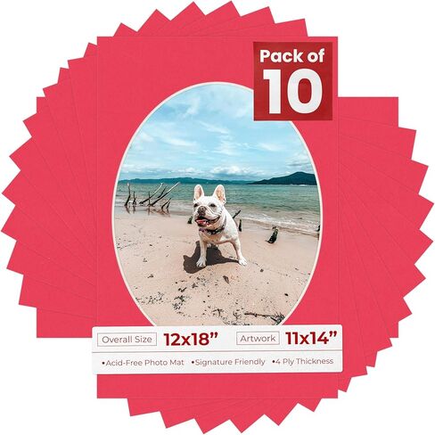 Poster Palooza 12x18 Mat Bevel Cut for 11x14 Photos - Precut Grey Oval Shaped Photo Mat Board Opening - Acid Free Matte to Protect Your Pictures - Bevel Cut for Family Photos, Pack of 1 Matboard in Kuwait