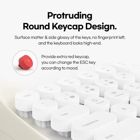 Adventurers Wireless Retro Typewriter Keyboard,Bluetooth 5.0 Keyboard with Cute Round Keycaps/Tablet Holder, for Writers/Girlfriend(Ivory Butter) in Kuwait