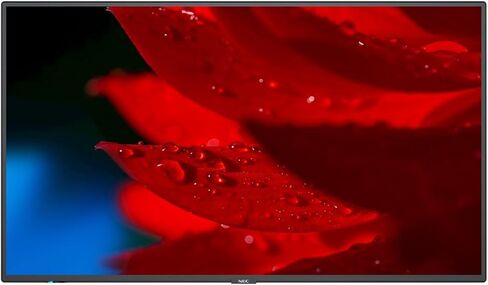 شاشة NEC LED LCD مقاس 43 بوصة UHD 500nits WCG in Kuwait