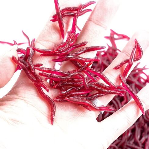 100-Piece 2-Color Simulated Earthworm Soft Lures, Bionic Fishing Baits Special Partner for Red Worm Rig Universal Fishing Tackle for Freshwater & Saltwater 1.57in 3.15in in Kuwait