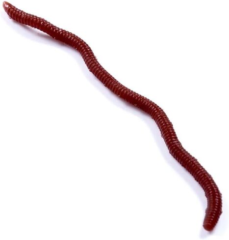 100-Piece 2-Color Simulated Earthworm Soft Lures, Bionic Fishing Baits Special Partner for Red Worm Rig Universal Fishing Tackle for Freshwater & Saltwater 1.57in 3.15in in Kuwait