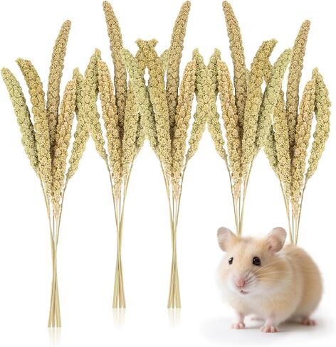 Sukh Herb Bedding Habitat Decor - Natural Flower Habitat Decor Natural Hamster Bedding Mate Natural Hamster Sprays Hamster Cage Decor for Guinea Pig,Dwarf Hamster,Golden Bears Or Other Small Pets in Kuwait