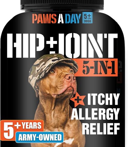 Paws A Day Glucosamine for Dogs Hip & Joint Supplement – “Two-in-One Combo" Dog Joint Care and Improved Skin & Coat w/Chondroitin, MSM, Omega 3, Collagen & Biotin, 60 Chewable Tablets (2 Months) in Saudi Arabia