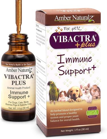 Amber NaturalZ - Vibactra Plus Immune Support - Helps Fight Free radicals, Supports Healthy Yeast Balance, maintains Healthy Gut Flora, Supports Upper Respiratory Health and Oral Health - 4 Oz in Saudi Arabia