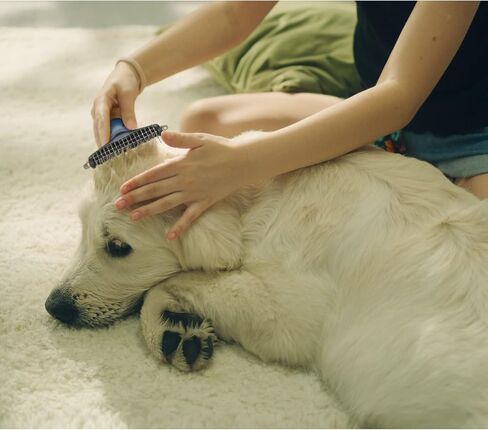 Pet Grooming Brush - Dual Sided Cats and Dogs Brush for Shedding and Dematting, Undercoat Rake for Dogs Gently Removes Loose Undercoat, Mats & Tangled Hair, Extra Safty, Gift for Firends in Saudi Arabia