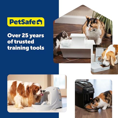 PetSafe Replacement Pump for Pet Drinking Fountains, Compatible with PetSafe Drinkwell Ceramic, Stainless Steel and 360 Dog and Cat Water Dispensers - PAC00-13206, Black in Kuwait