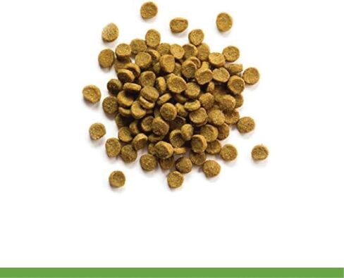 ZuPreem Premium Daily Ferret Food, 4 lb - Made in USA, Complete Nutrition Diet, Highly Digestible, No Corn in Saudi Arabia