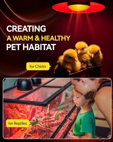 DoRight Reptile Heat Lamp Bulb UVB Reptile Light Bulbs 85W, Reptile Basking Spot Light Bulb Heat Lamp for Reptile Chicken Coop Bearded Dragon Turtle Hermit Crab Gecko Lizard, 2 Pack in Saudi Arabia