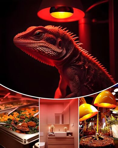 DoRight Reptile Heat Lamp Bulb UVB Reptile Light Bulbs 85W, Reptile Basking Spot Light Bulb Heat Lamp for Reptile Chicken Coop Bearded Dragon Turtle Hermit Crab Gecko Lizard, 2 Pack in Saudi Arabia
