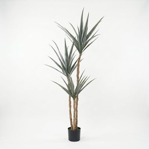 شجرة اصطناعية نبات الصبار الصناعي 5.3FT، 63in شجرة Dracaena وهمية داخلي مع 3 رؤوس في وعاء بلاستيكي لديكور المنزل ديكور المكتب هدية الترحيب بالمنزل الجديد in Saudi Arabia