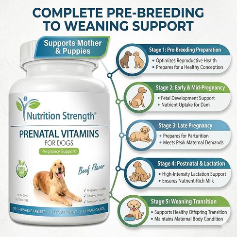 Prenatal Vitamins for Dogs to Support Development of Healthy Puppies, Promote Milk Production, with Folic Acid, Iron, Zinc, Iodine, B Vitamins for Pregnant Dogs, 90 Soft Chews in Saudi Arabia