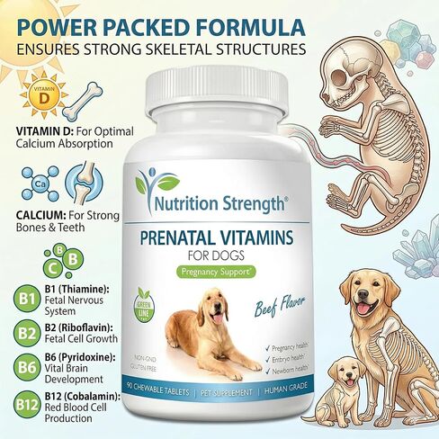 Prenatal Vitamins for Dogs to Support Development of Healthy Puppies, Promote Milk Production, with Folic Acid, Iron, Zinc, Iodine, B Vitamins for Pregnant Dogs, 90 Soft Chews in Saudi Arabia