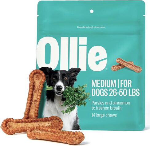 Ollie Dental Chews for Dogs Large- Dog Breath Treats - Dog Teeth Cleaning Treat - Dental Sticks for Dogs - Fresh Breath for Dogs - Dog Dental Chews - Dog Dental Care - 4 Large Pack in Saudi Arabia