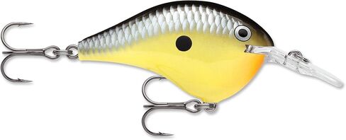 ラパラ(Rapala) ダイブストゥ Dives-to 5cm 12g DT8 in Saudi Arabia
