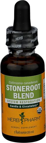 مستخلص سائل من مزيج Stoneroot العضوي المعتمد من Herb Pharm لدعم القلب والأوعية الدموية والدورة الدموية، 1 أونصة in Saudi Arabia