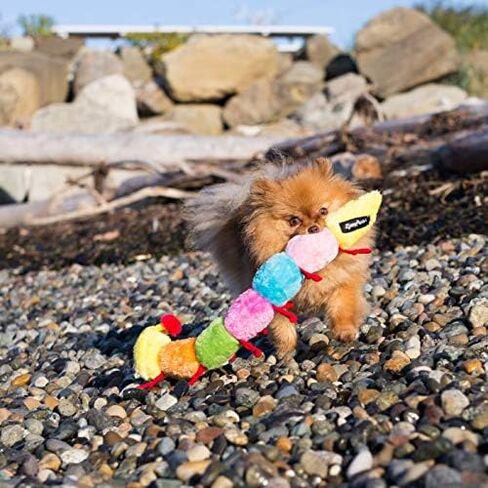 ZippyPaws Christmas Caterpillar Dog Toy - Stuffed Animals for Small & Medium Dogs & Puppies, Plush Interactive Squeaky Toys, Stocking Stuffer Gifts for Pets in Saudi Arabia