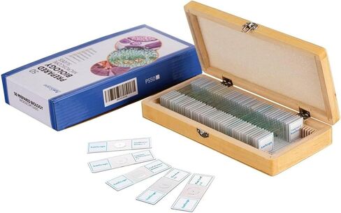 AmScope PS50 Prepared Microscope Slide Set for Basic Biological Science Education, 50 Slides, Includes Fitted Wooden Case in Saudi Arabia