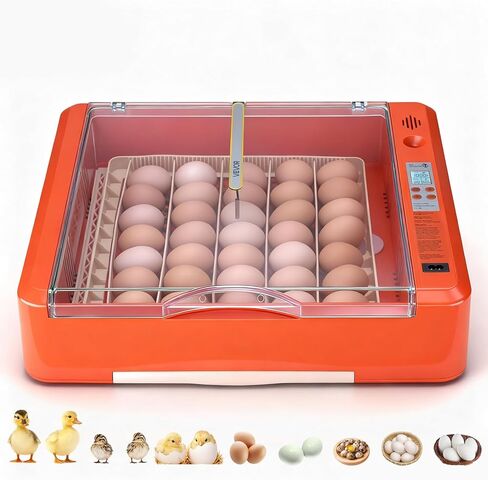 VEVOR Egg Incubator, Incubators for Hatching Eggs, Automatic Egg Turner with Temperature and Humidity Control, 24 Eggs Poultry Hatcher with ABS Transparent Shell for Chicken, Duck, Quail in Saudi Arabia