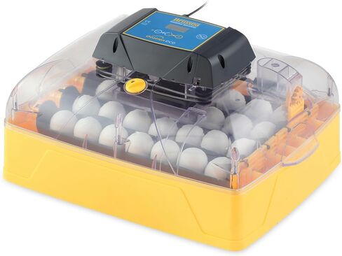 Brinsea Products Usag45C Ovation 56 Eco Automatic Egg Incubator, One Size in Saudi Arabia