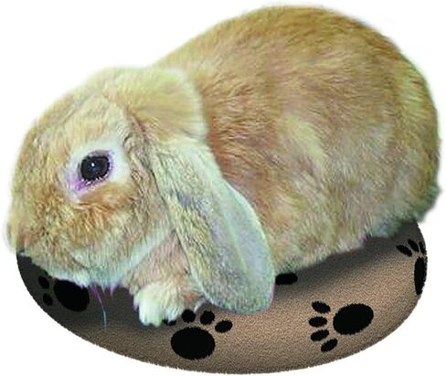Pet Heating Pad by Snuggle Safe, Pet Microwaveable Heat Pad, Safe Pet Bed Warmer in Saudi Arabia