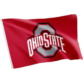 Desert Cactus Ohio State University Flag Buckeyes OSU Flags Banners 100% Polyester Indoor Outdoor 3x5 (Style 8)