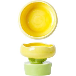 Ceramic Raised Cat Bowls, Cute Flower Shape Neck Spine Protection Raised Pet Food Bowl Elevated Porcelain Pet Feeder Bowl for Cats Dogs Pets(Orange)