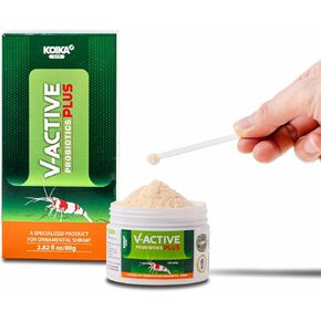 V-Active Plus Specialized Probiotics for Ornamental Shrimp by KOIKA | Environmental Improvement & Boost Immune System, Increase Fertility for Ornamental Shrimp(V-Active Plus, 3.55 fl oz/ 105ml)