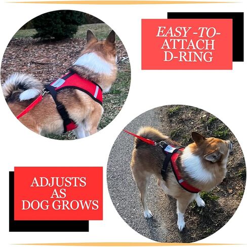 No-Choke Dog Harness for Small to Medium Dogs, Matching Leash, Harness for Puppy, Adjustable Pet Vest Harness, Soft Comfort Neck Strap, Easy Attachments, Reflective Strips in Kuwait