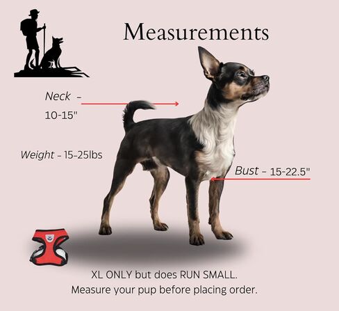 No-Choke Dog Harness for Small to Medium Dogs, Matching Leash, Harness for Puppy, Adjustable Pet Vest Harness, Soft Comfort Neck Strap, Easy Attachments, Reflective Strips in Kuwait