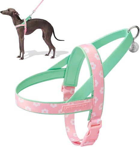 VETRESKA طقم حزام ومقود للكلاب الصغيرة والمتوسطة والكبيرة، مبطن ناعم قابل للتعديل، سهل التحكم، سهل المشي ومضاد للالتواء مجموعة مقود الحيوانات الأليفة (وردي وأخضر، مقاس M) in Kuwait